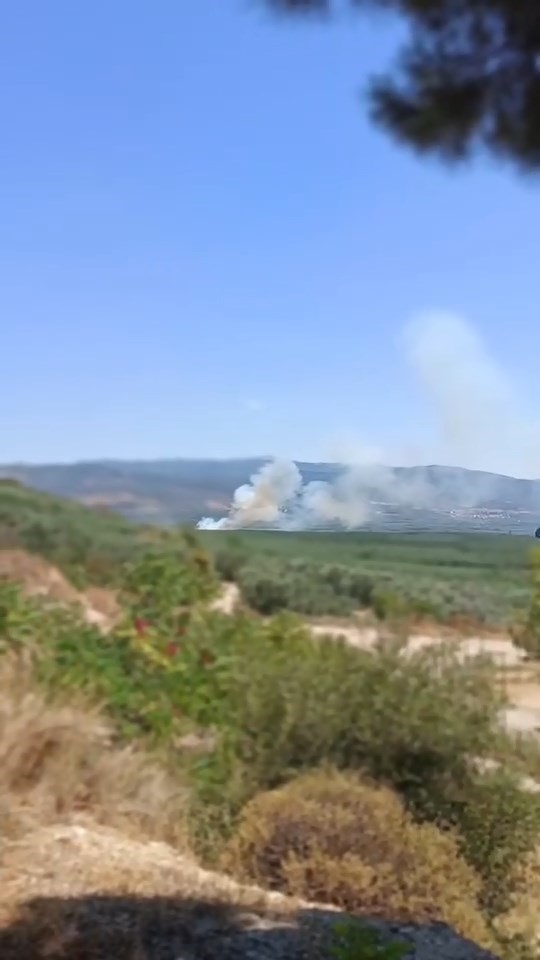 İznik’te orman yangını