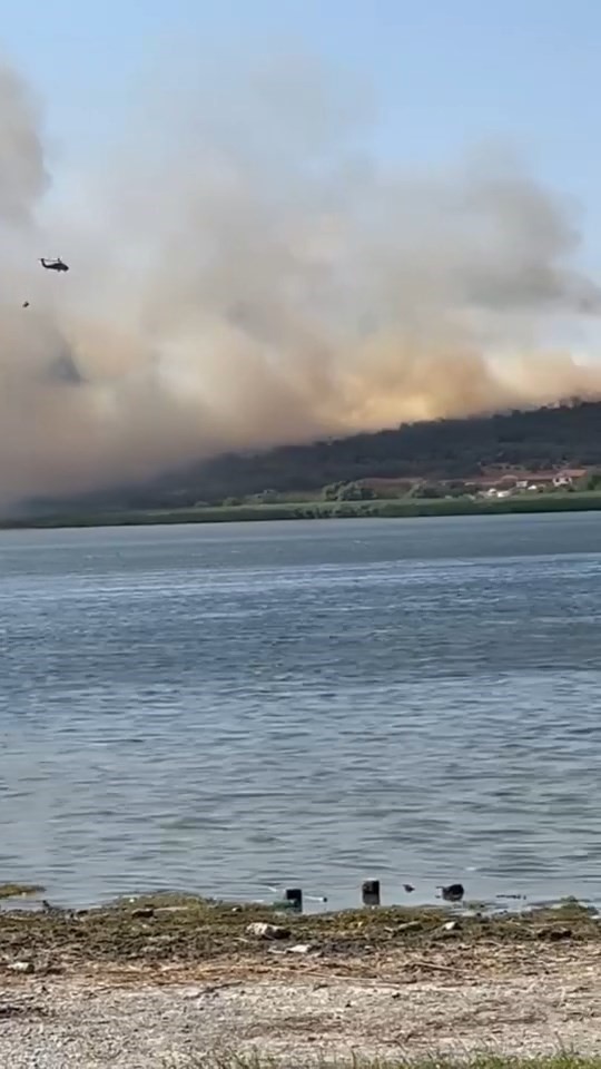 Uluabat Gölü’nden defalarca sorti yaptılar...Bursa’da iki ayrı noktada orman yangını