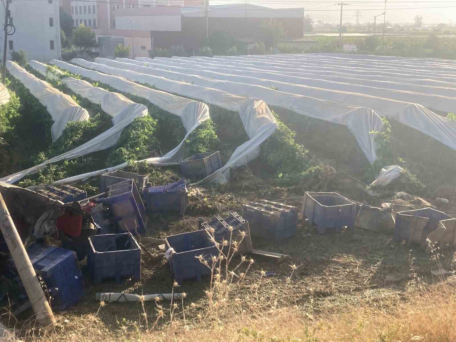 Yoldan çıkıp üzüm bağına uçan tırın şoförü hayatını kaybetti