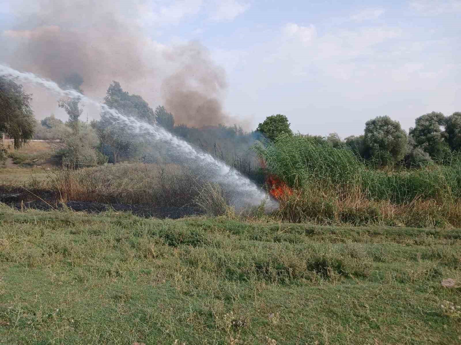 Ağaçlık alanda çıkan yangın itfaiye ekiplerince söndürüldü