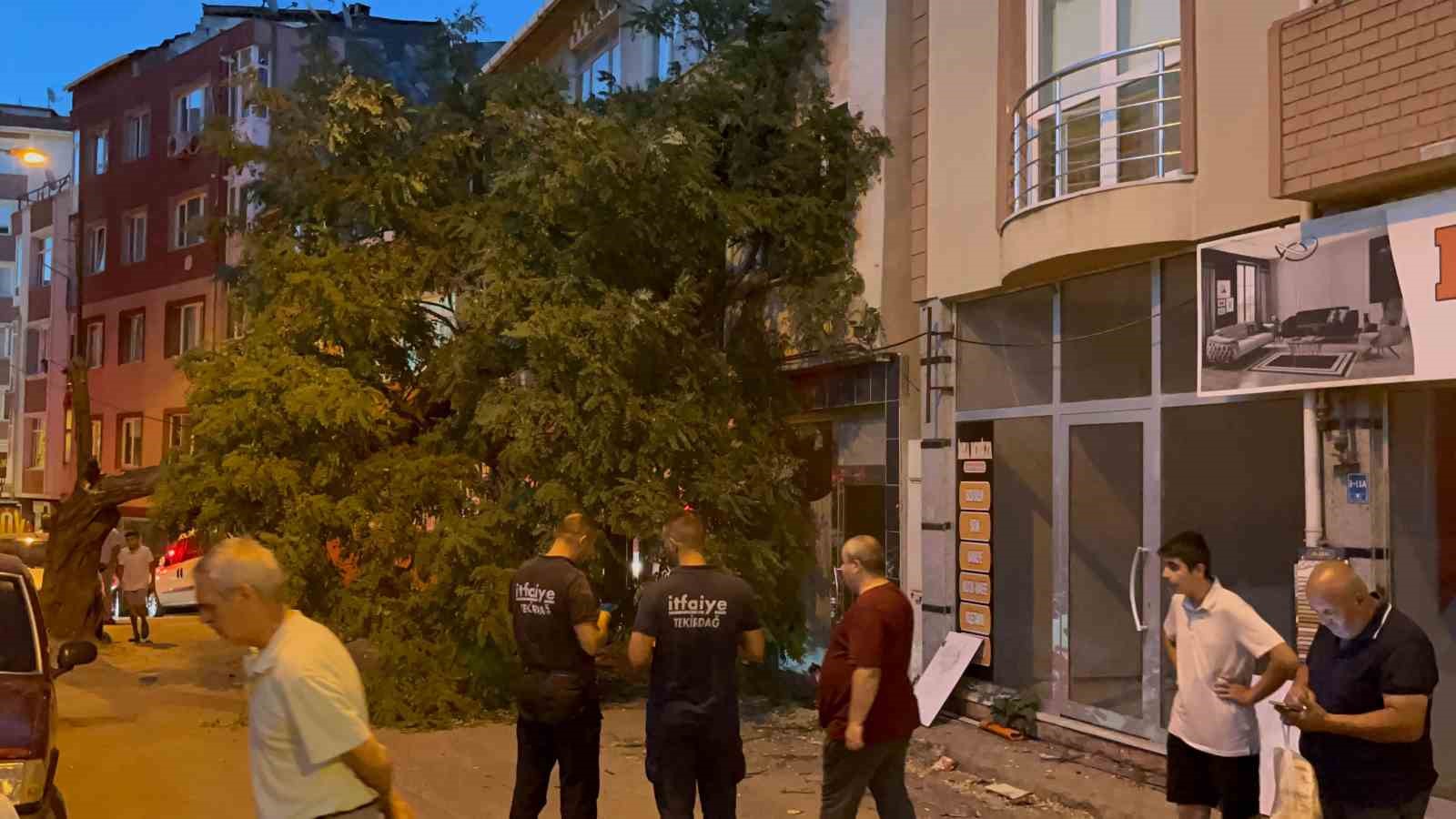 Balkonda kahve içerken üzerine ağaç devrildi