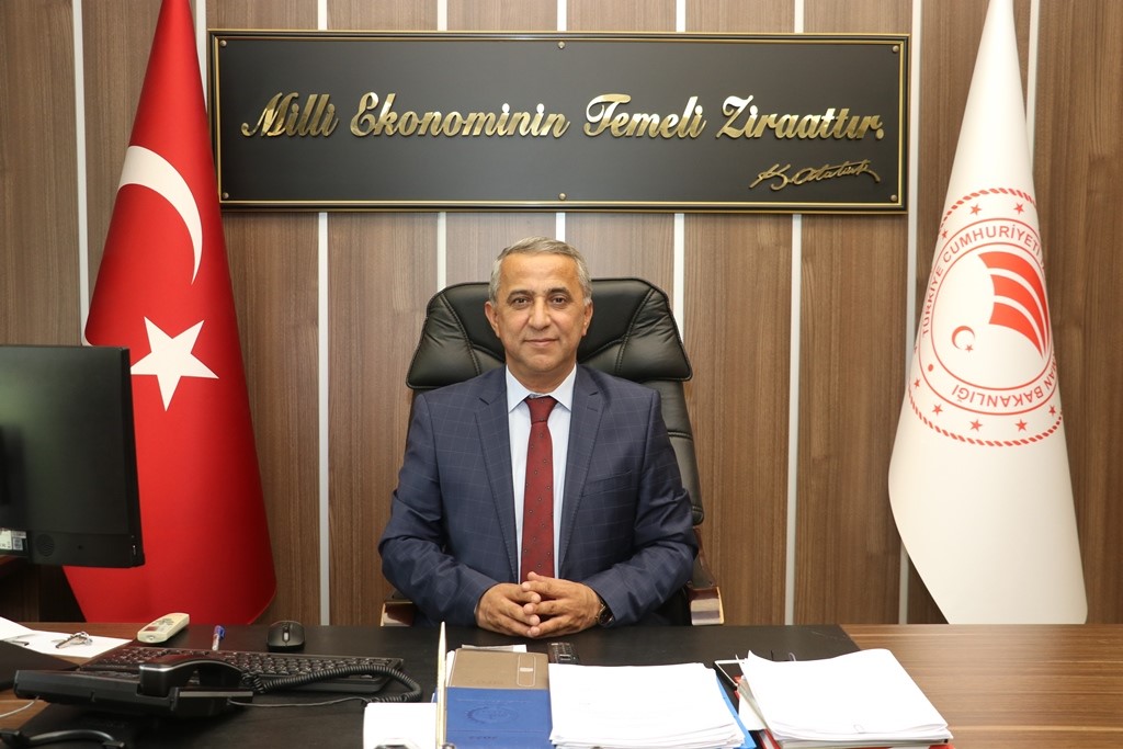 Samsun, su ürünleri ihracatında çıtayı yükseltiyor
