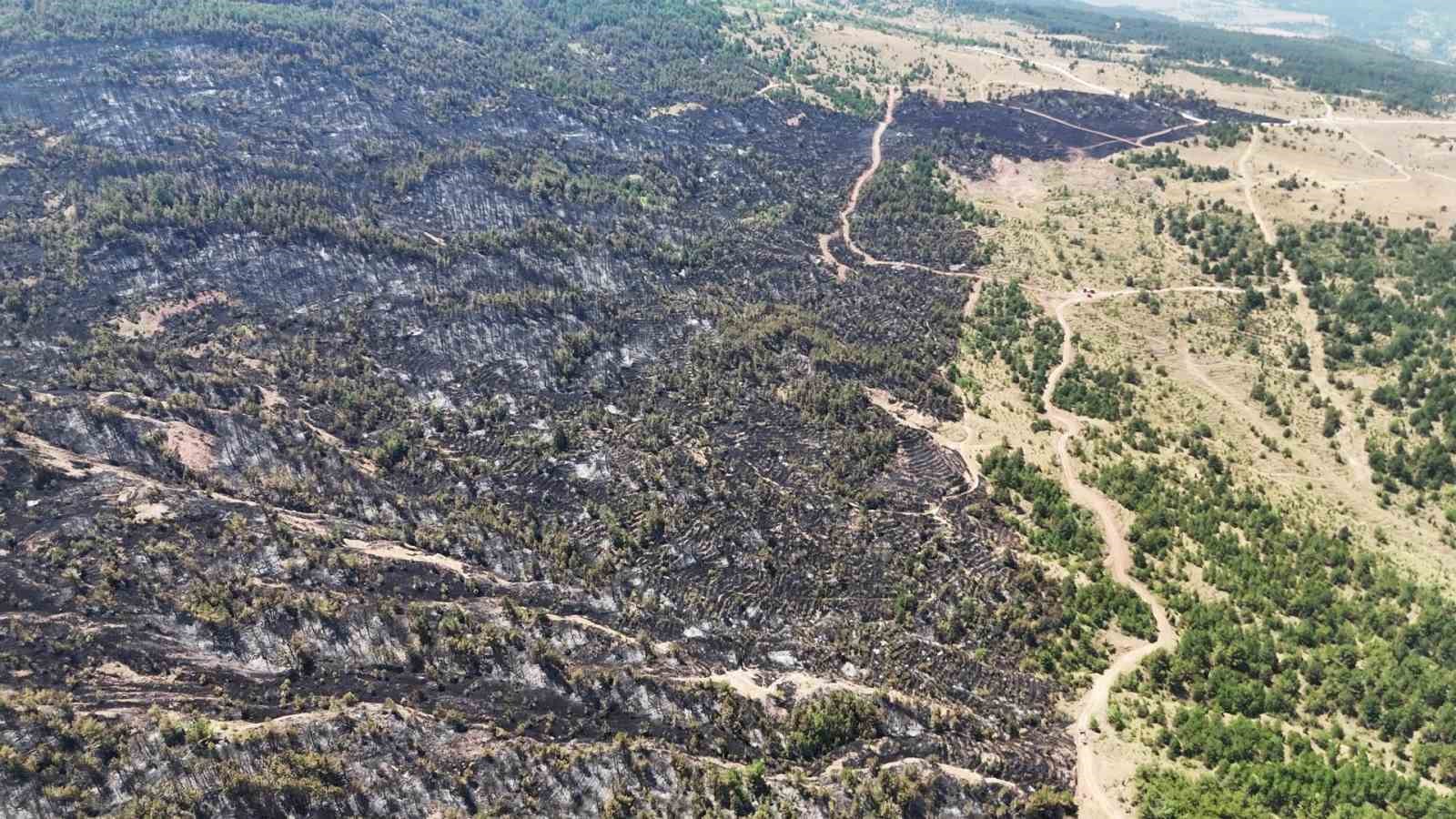 Karabük’te orman yangınının ardından yürek burkan manzara