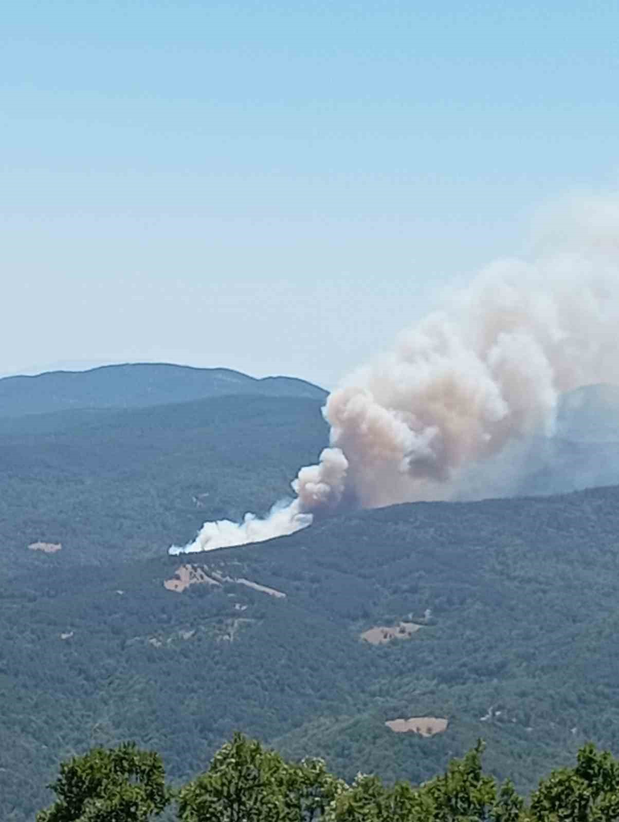 Orman yangınına sebep olan 9 kişi gözaltına alındı, bir kişi tutuklandı