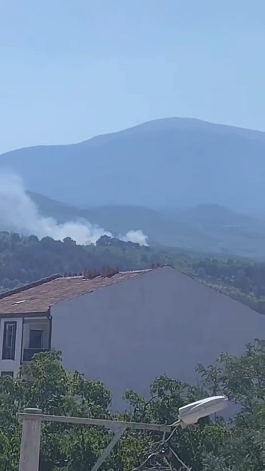 Bursa’da orman yangını