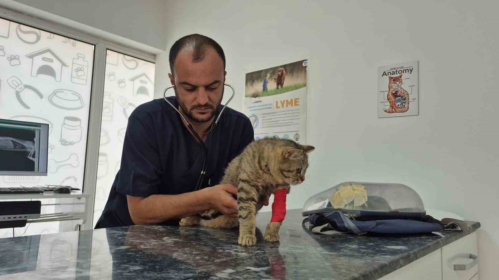 Kediyi not yazıp çanta içinde veteriner kiliğinin kapısına bıraktılar