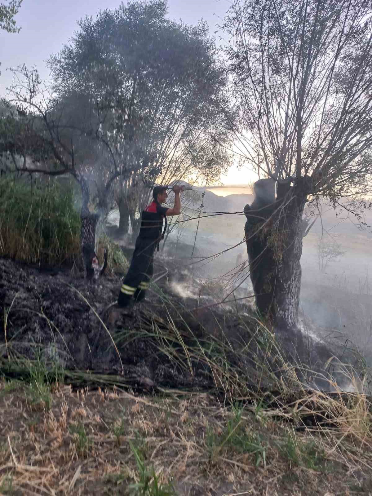 Burdur’da traktörden çıkan yangında 5 dönüm arazi kül oldu