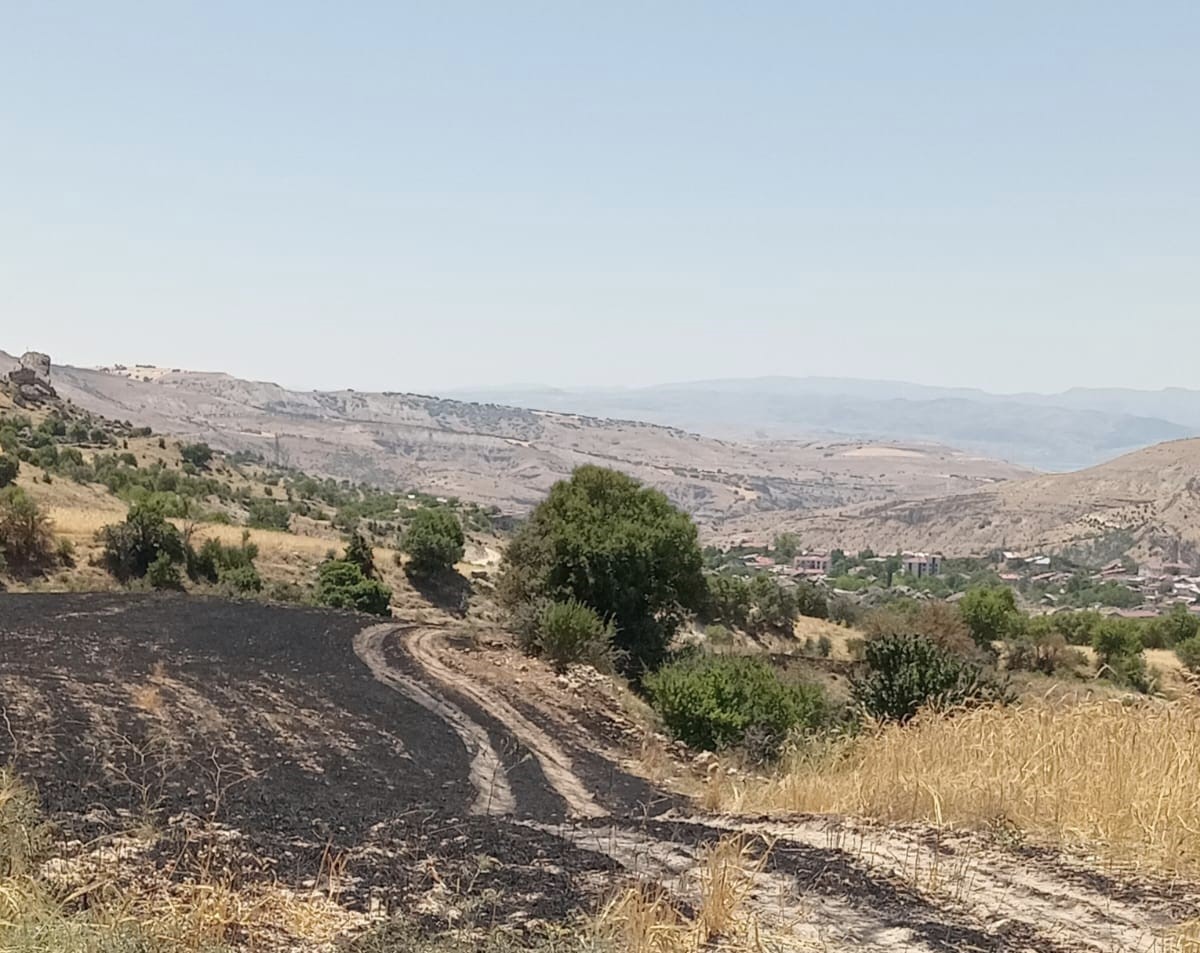 Tunceli’de 34 dönüm arpa yangında kül oldu