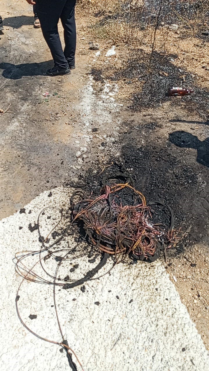 Bursa’da 20 zeytin ağacı yandı: 2 çocuk gözaltında