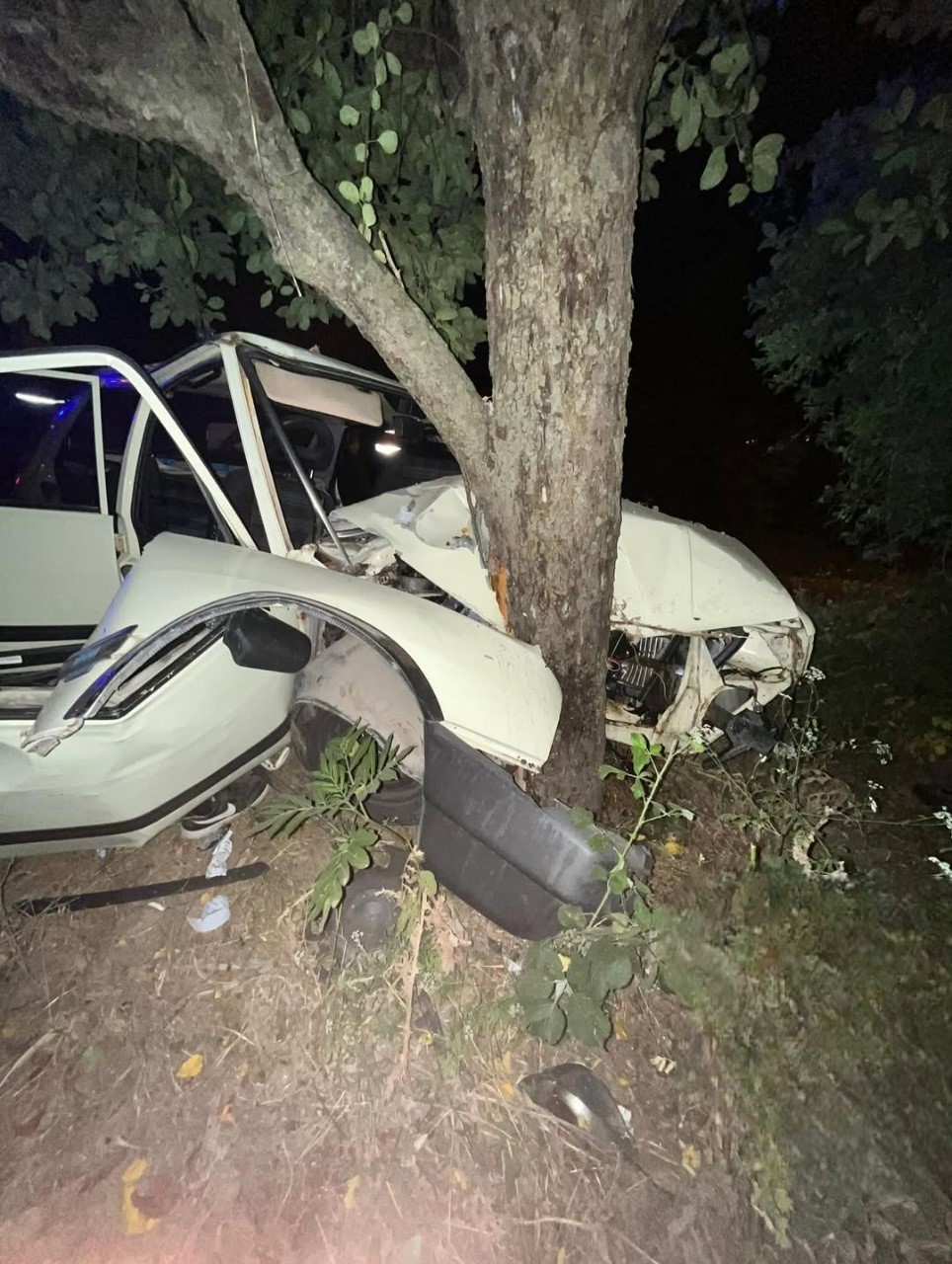 Sinop’ta virajı alamayan otomobil ağaca çarptı: 2 yaralı