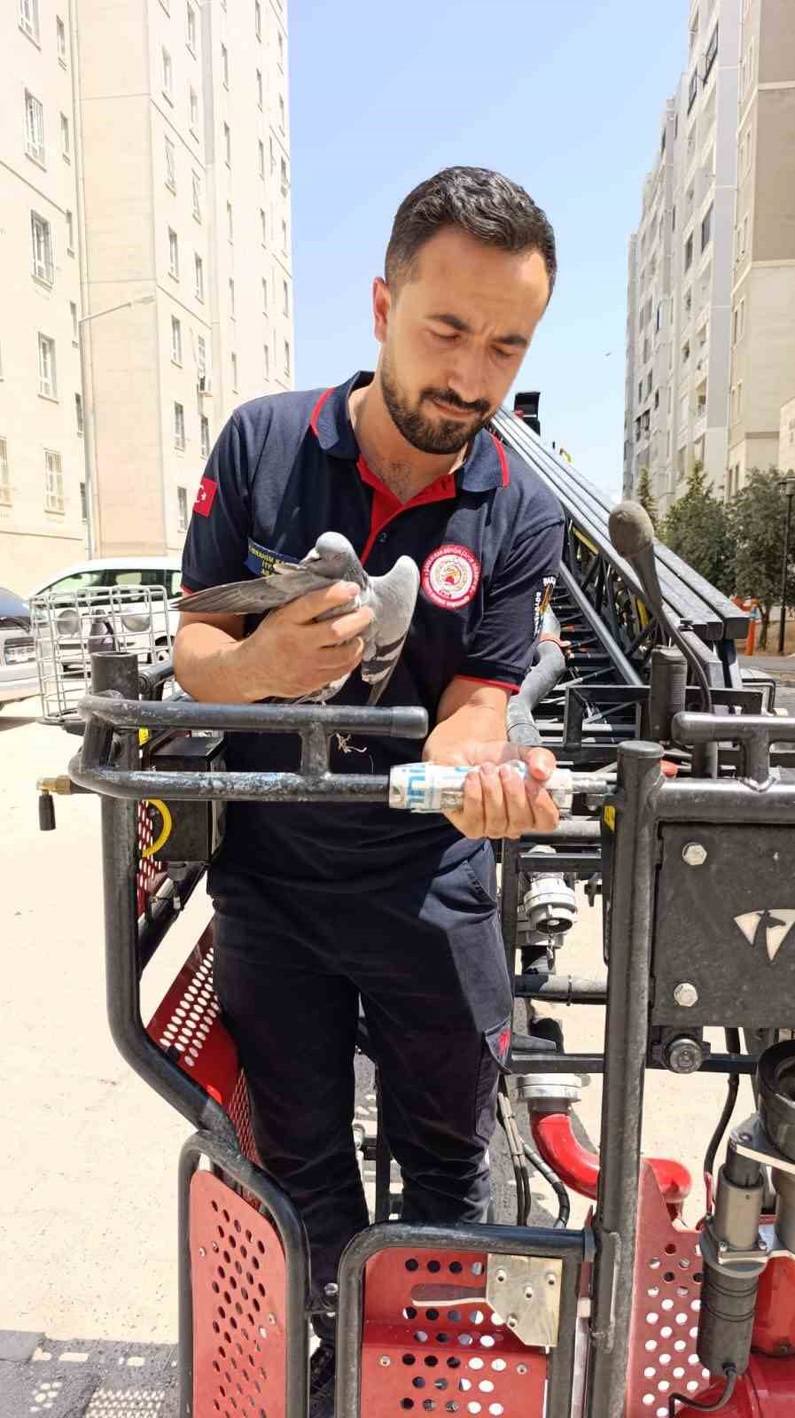 Şanlıurfa’da itfaiyeden güvercin kurtarma operasyonu