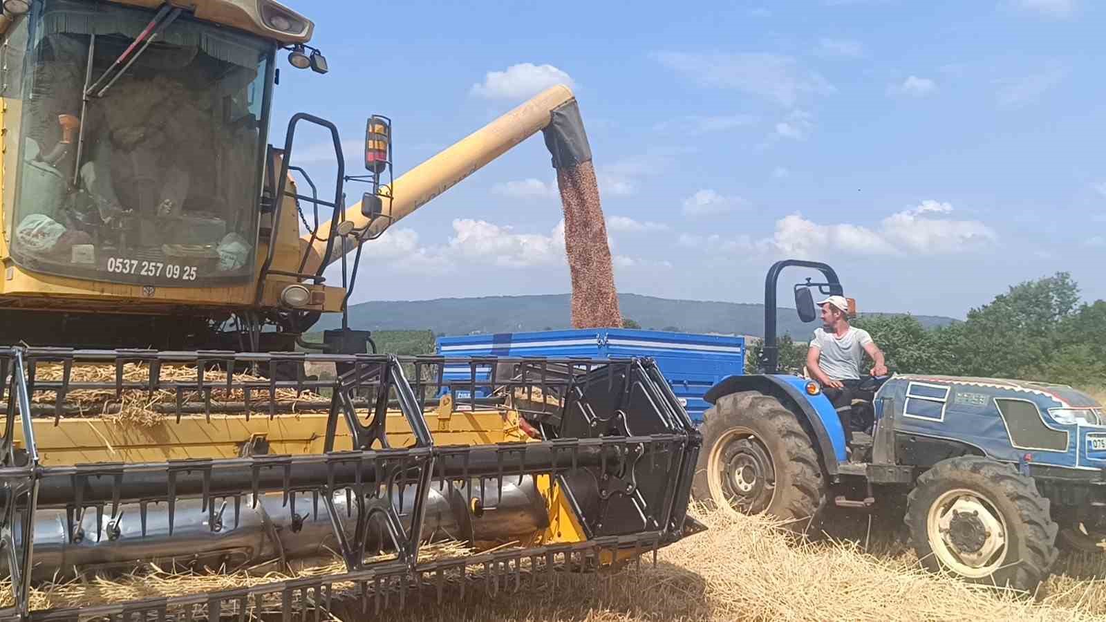 Tarım şehri Bilecik’te arpa ve buğday bereketi