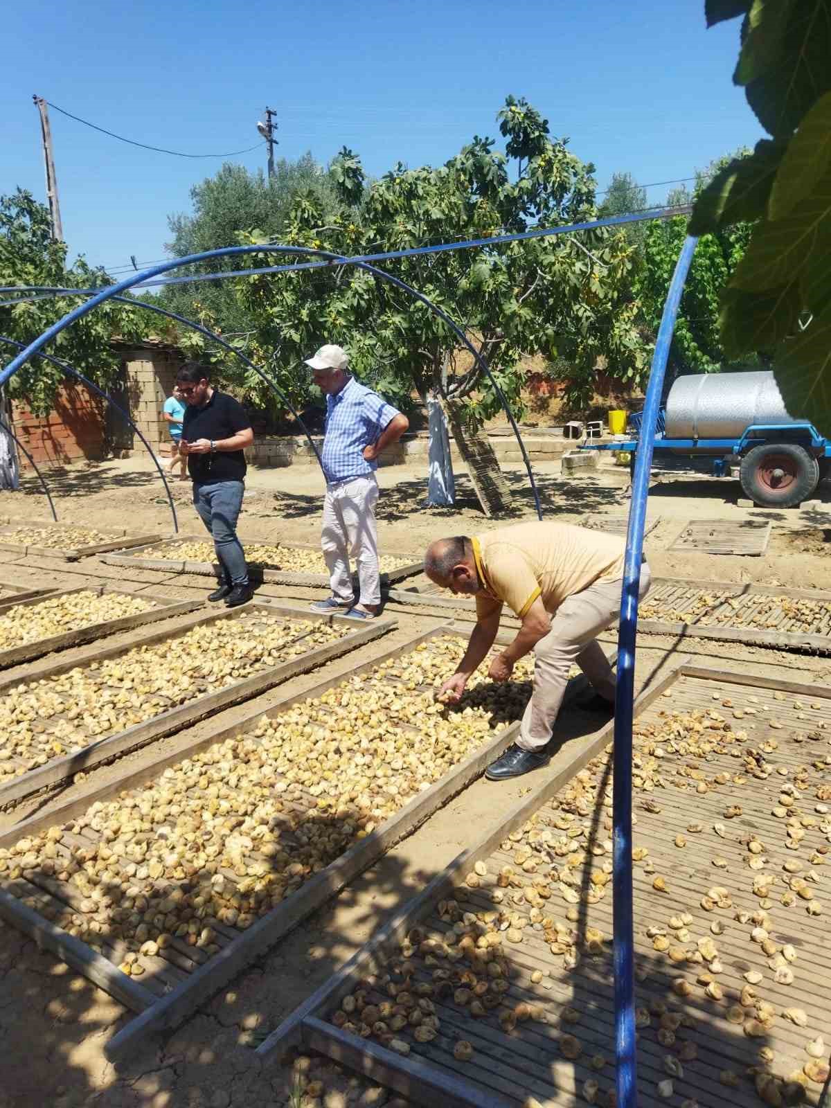 Aydın’da kuru incir rekoltesi değerlendirme toplantısı yapıldı