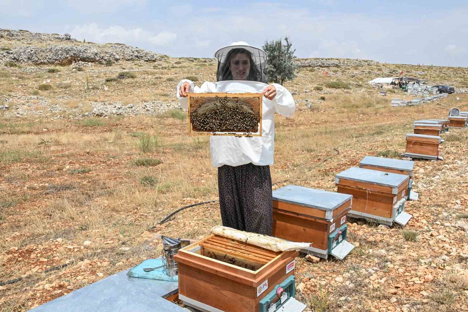 Mersin’de ‘Altın Kovan Projesi’ ile arı yetiştiriciliğine destek