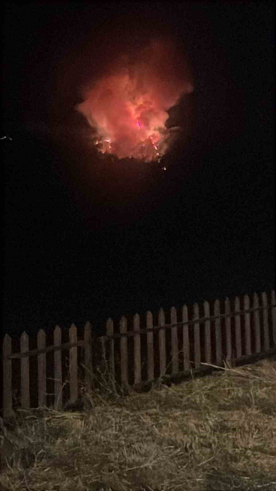 Çanakkale’de orman yangını