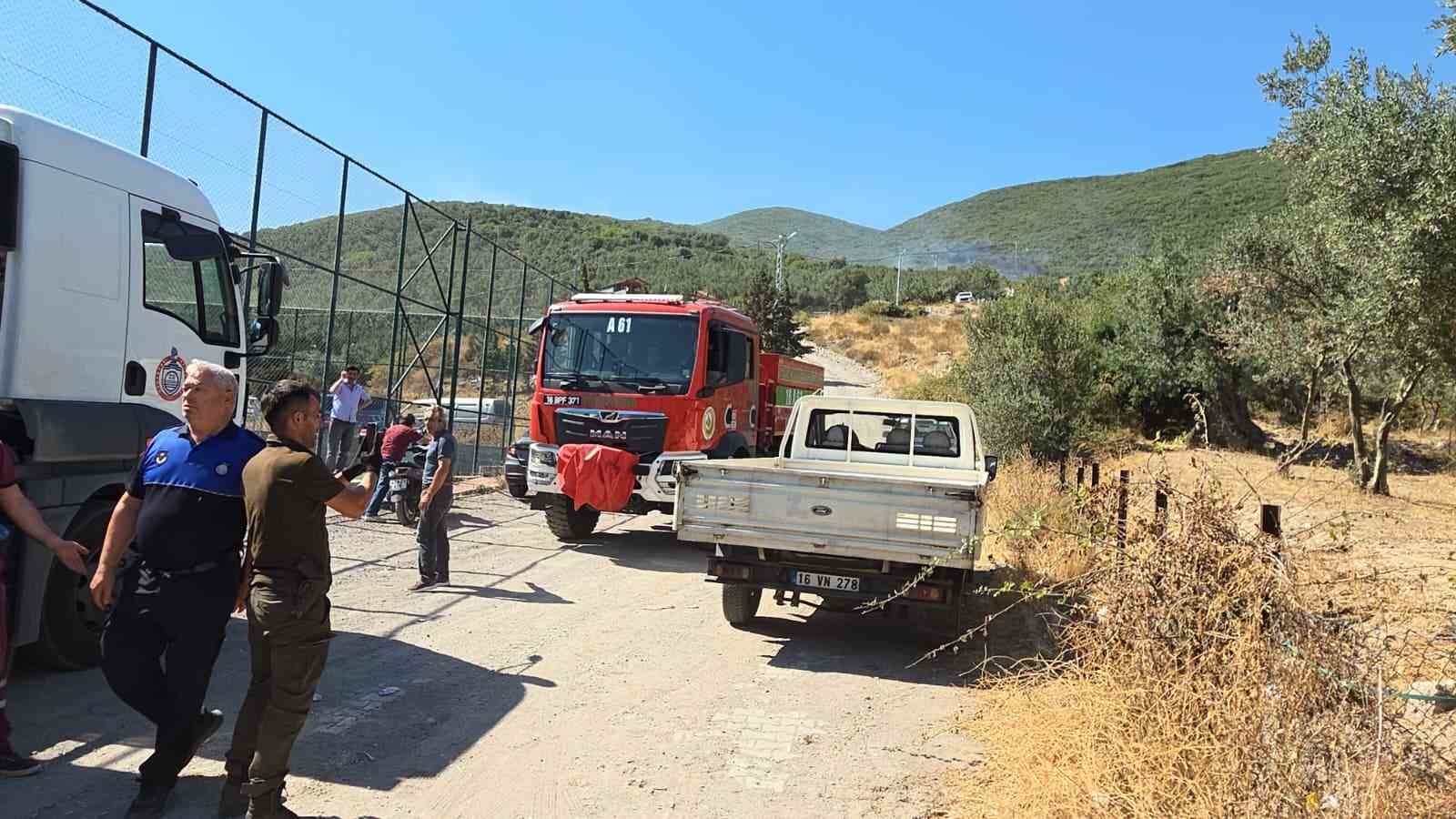 Orhangazi’de orman yangını korkuttu