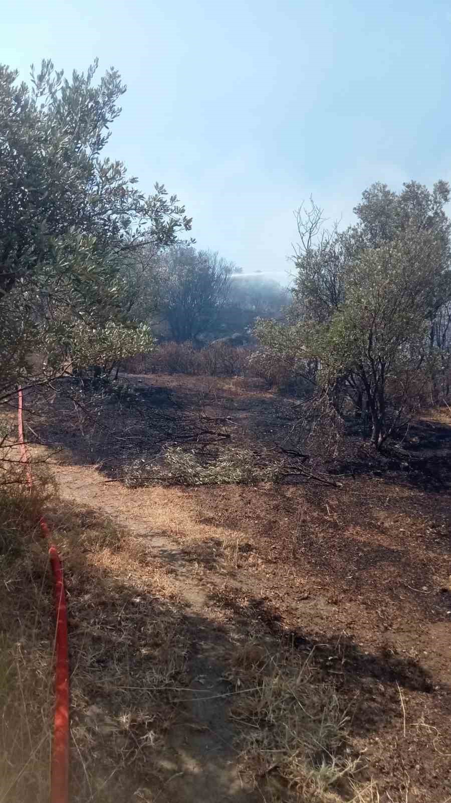 Mudanya’da korkutan yangın