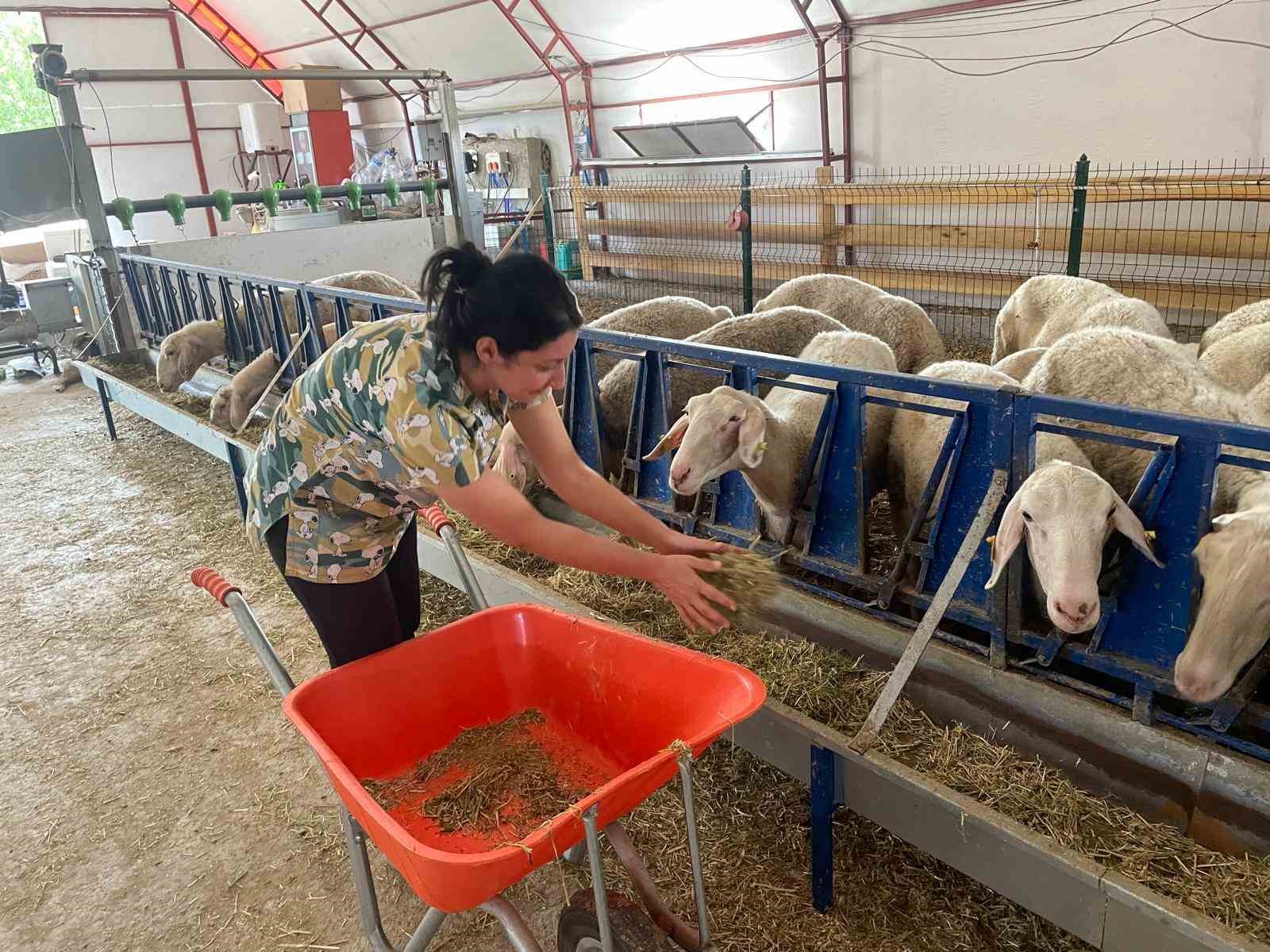 Veteriner genç kadın, kendi işletmesini kurdu