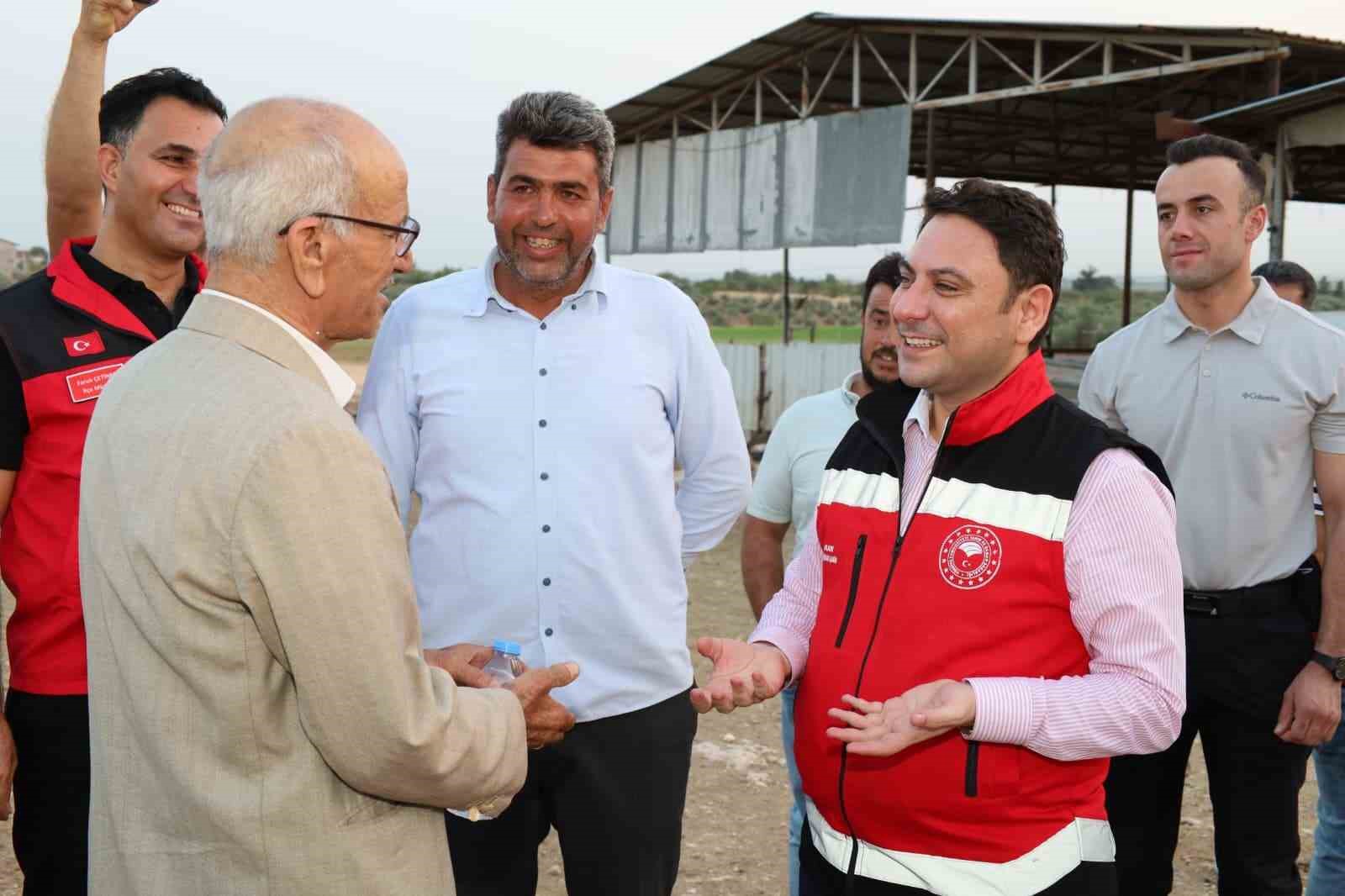 Haliliye’de hayvancılığın geliştirilmesi çalışmaları sürüyor