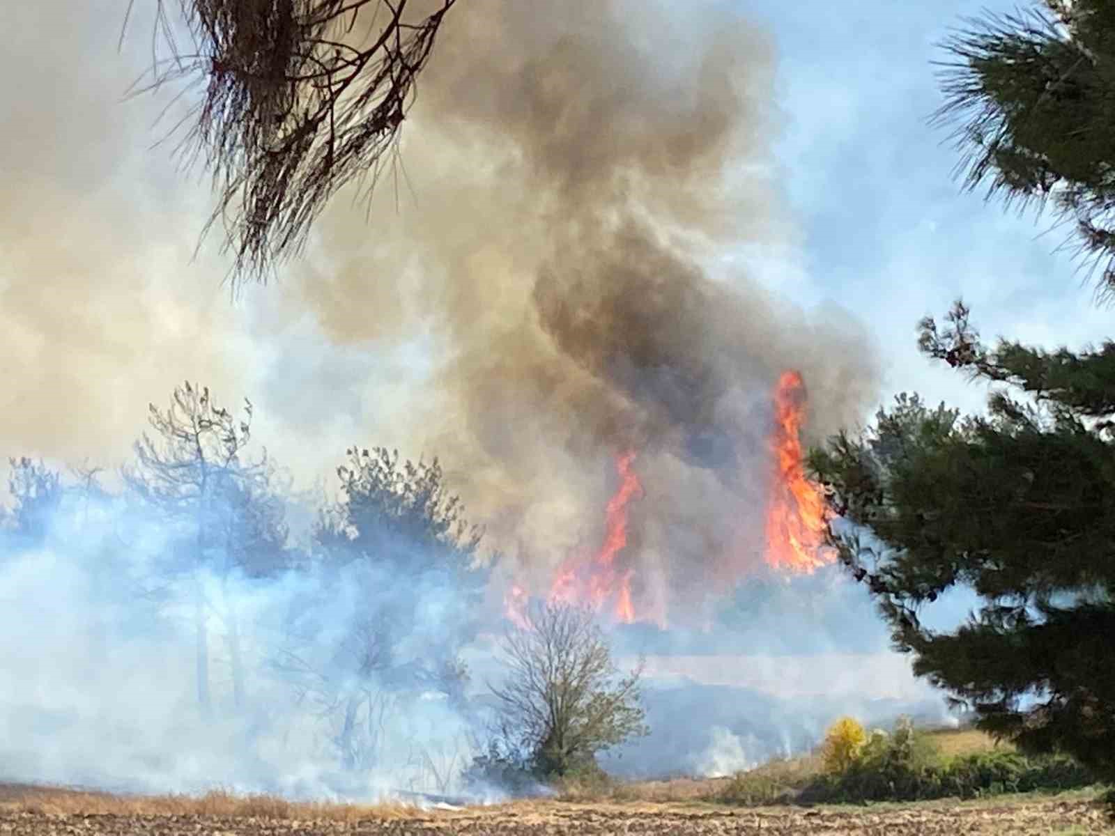 Osmaniye’de ormanlık alanda yangın çıktı