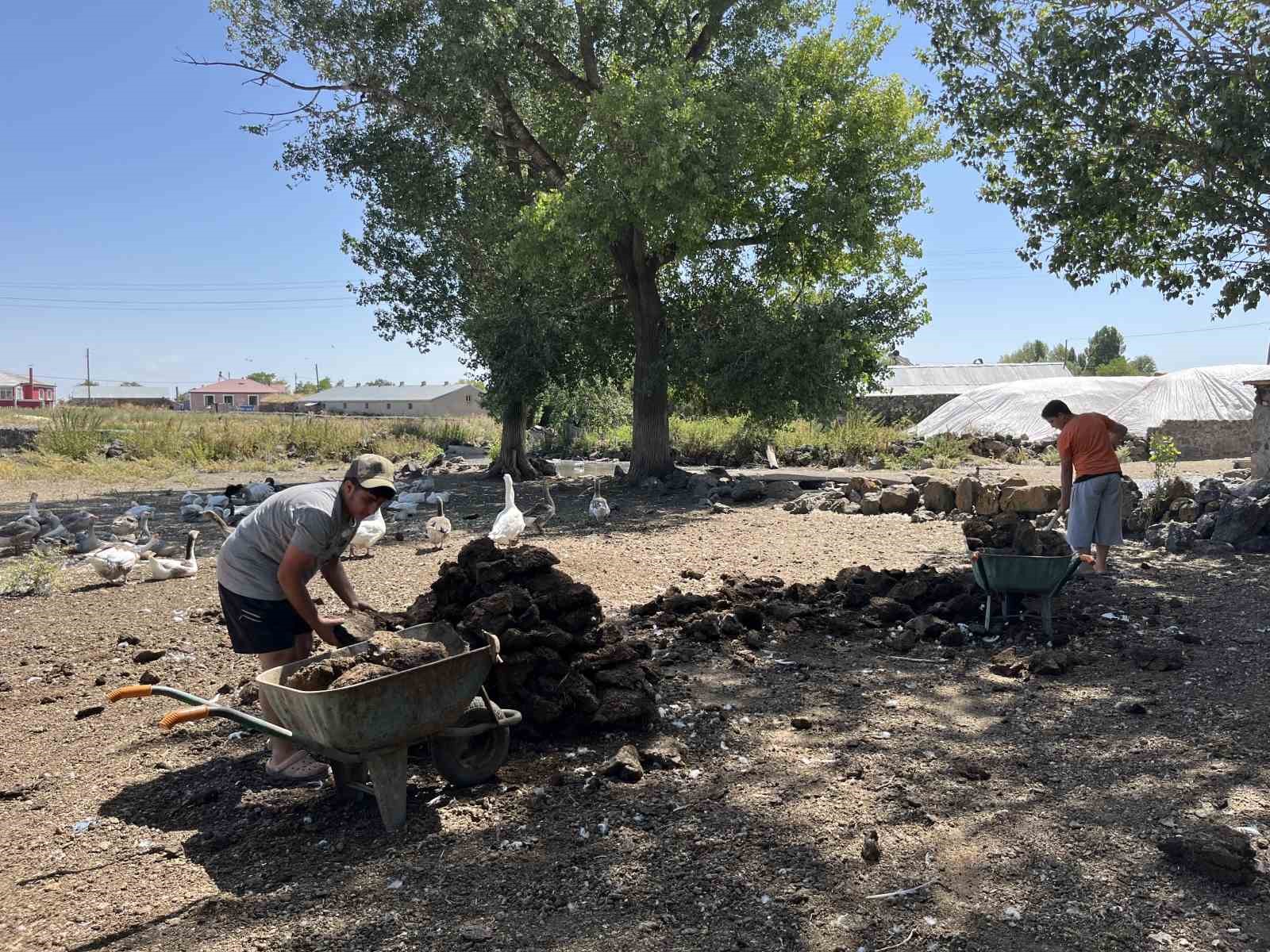 Kars’ta köylülerin kışlık tezek mesaisi başladı