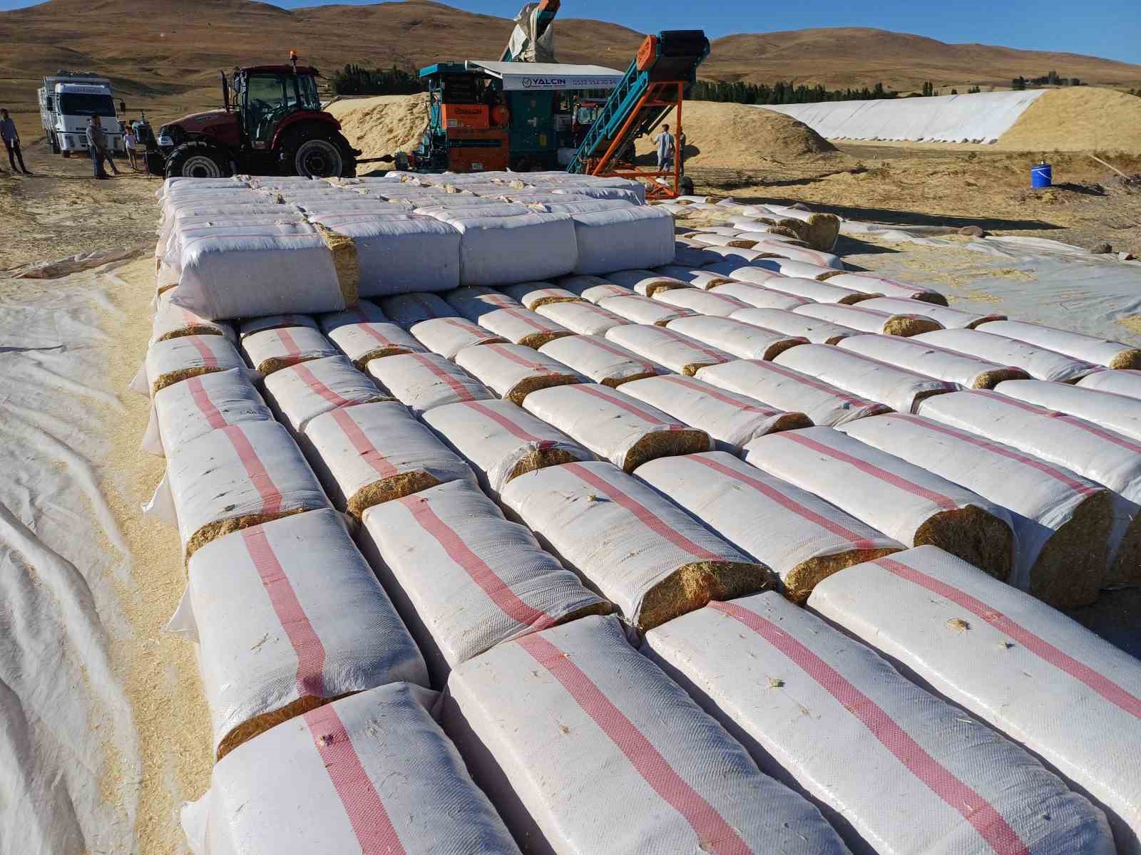 Geçen yıl tarlada çürüyen saman, bu yıl çiftçinin yüzünü güldürdü