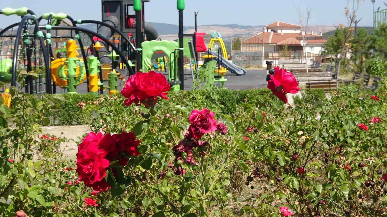 Tavşanlı’da kadın işçilerin sıcağa karşı mücadelesi