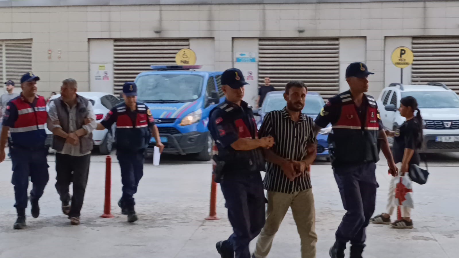 Evde kenevir yetiştiren şahısları İnegöl Jandarması yakaladı
