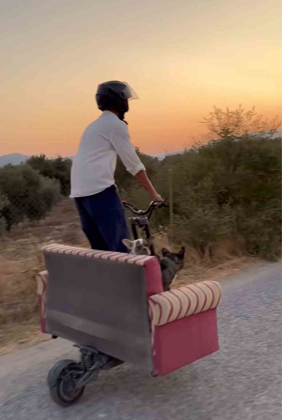 Scootere koltuk monte edip, köpekleriyle yolculuk yaptı