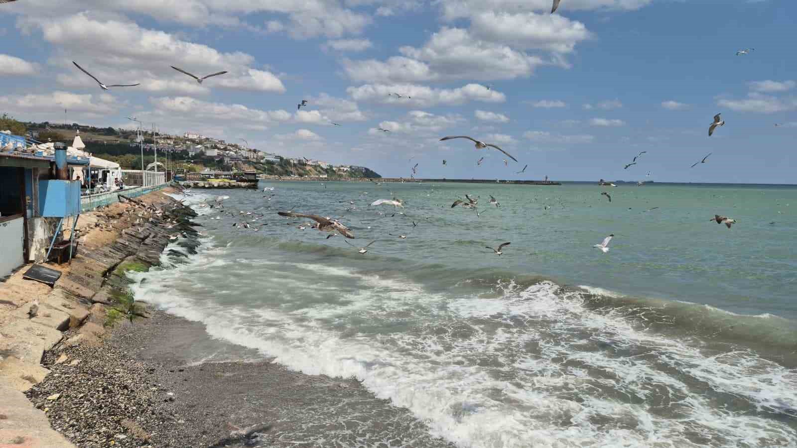 Tekirdağ’da poyraz deniz ulaşımını aksattı