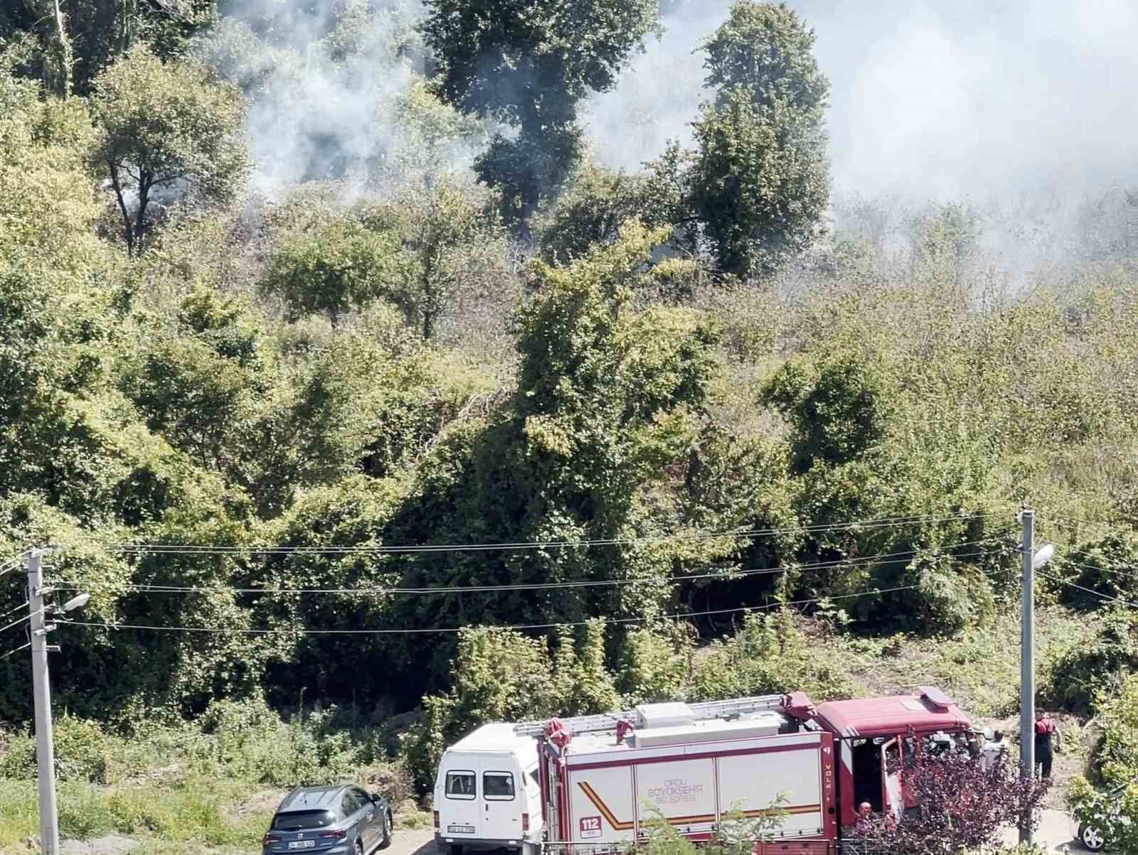 Ordu’da bahçe temizliği yangına yol açtı