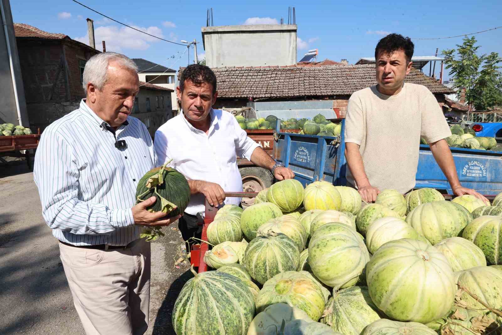 Bursa’nın ünlü Konaklı kavununda üretim iki kat arttı