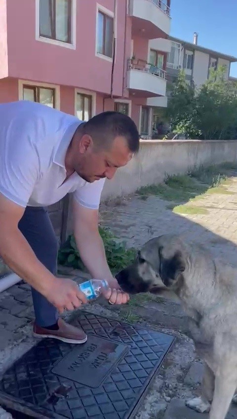Muhtardan insanlık dersi