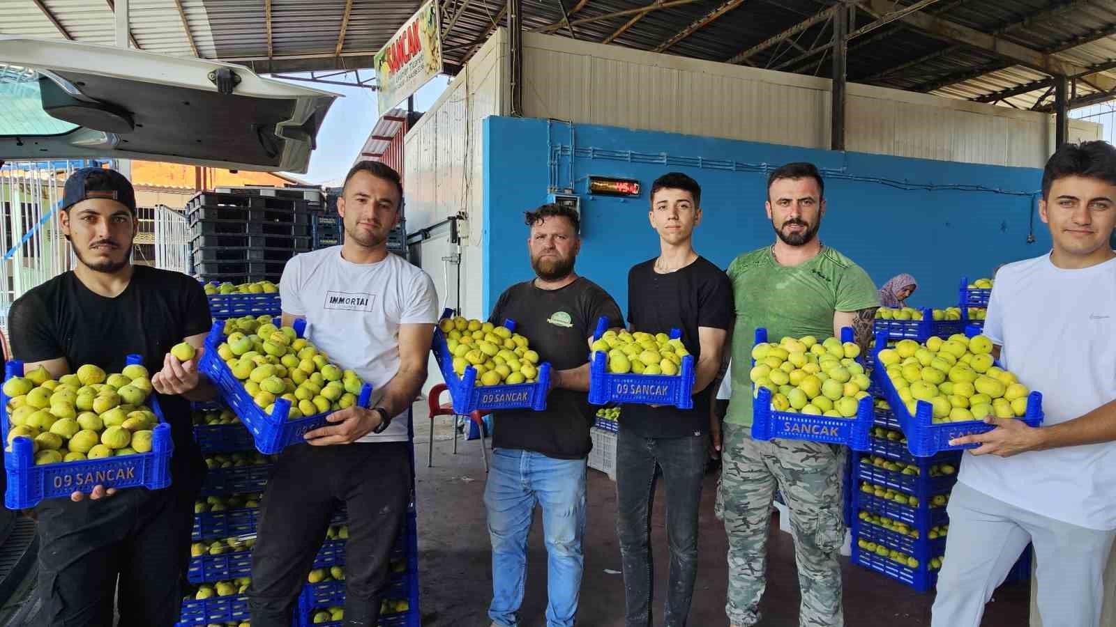 Buharkent’in damak çatlatan lezzeti taze incir, sofralarda yerini aldı