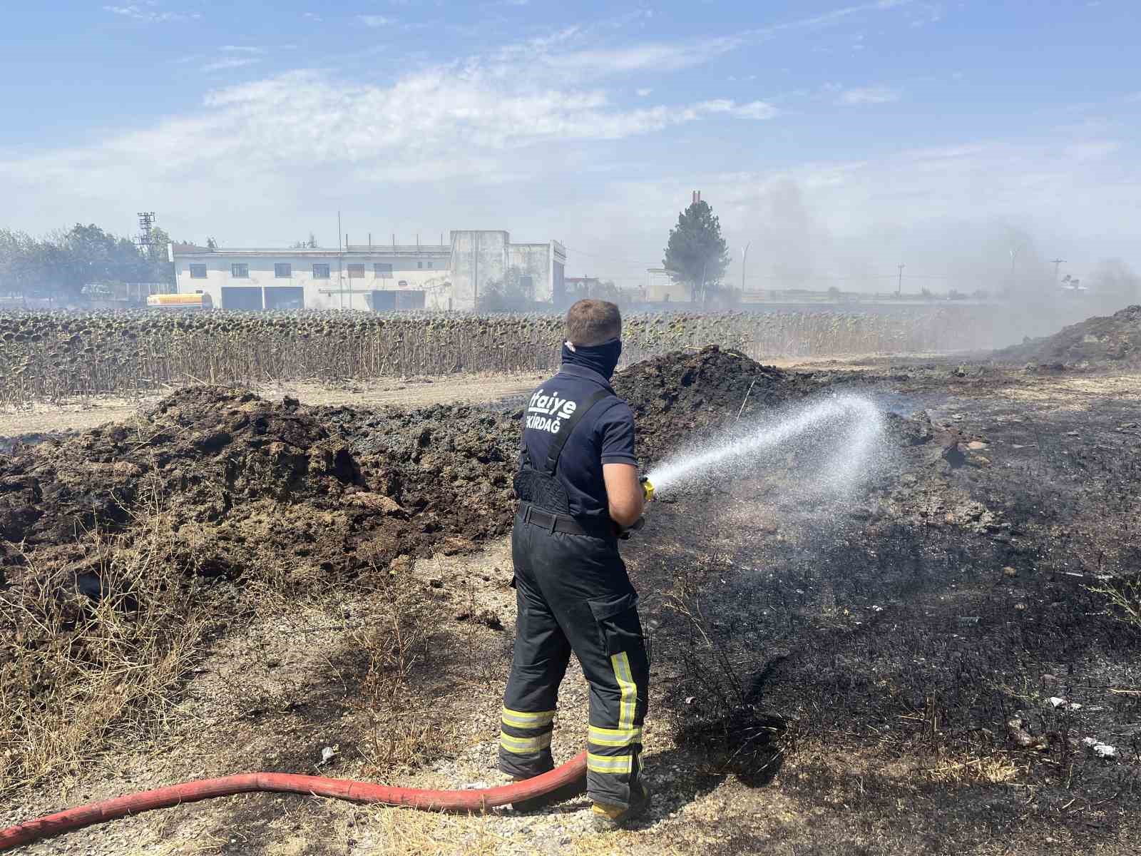 Tekirdağ’da çıkan yangın korkuttu