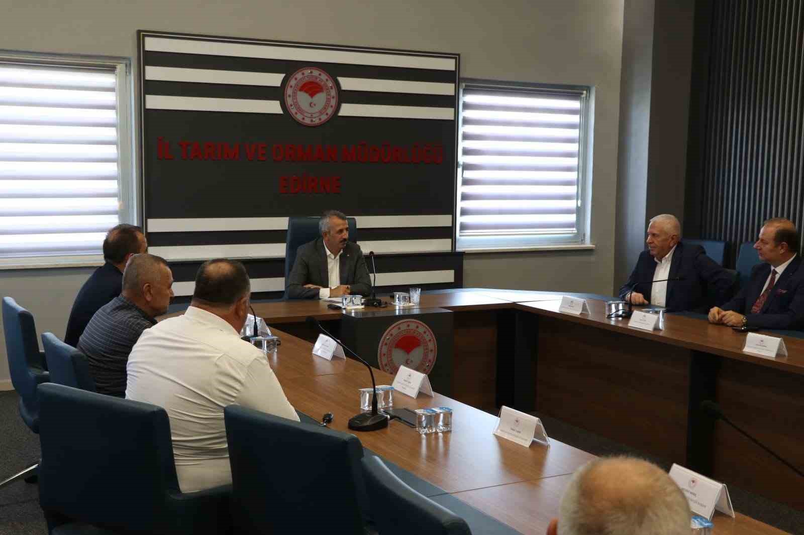 Edirne, damızlık düve üretiminde merkez olma yolunda