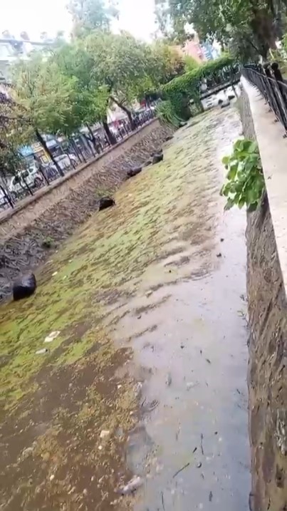 Gemlik körfezi çöplüğe döndü