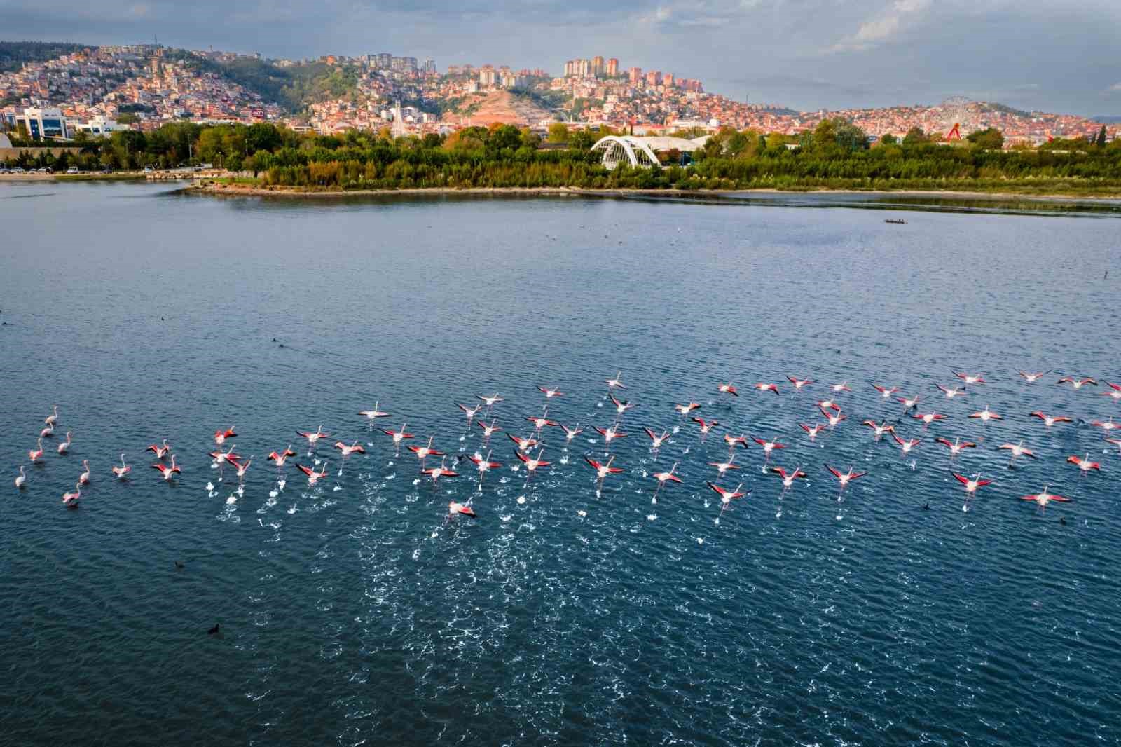 Ödüllü fotoğraf yarışmasına başvurular başladı