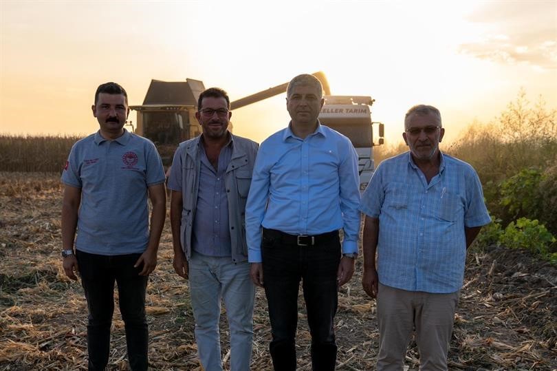 Adana’da mısırda 1 milyon 135 bin ton rekolte bekleniyor