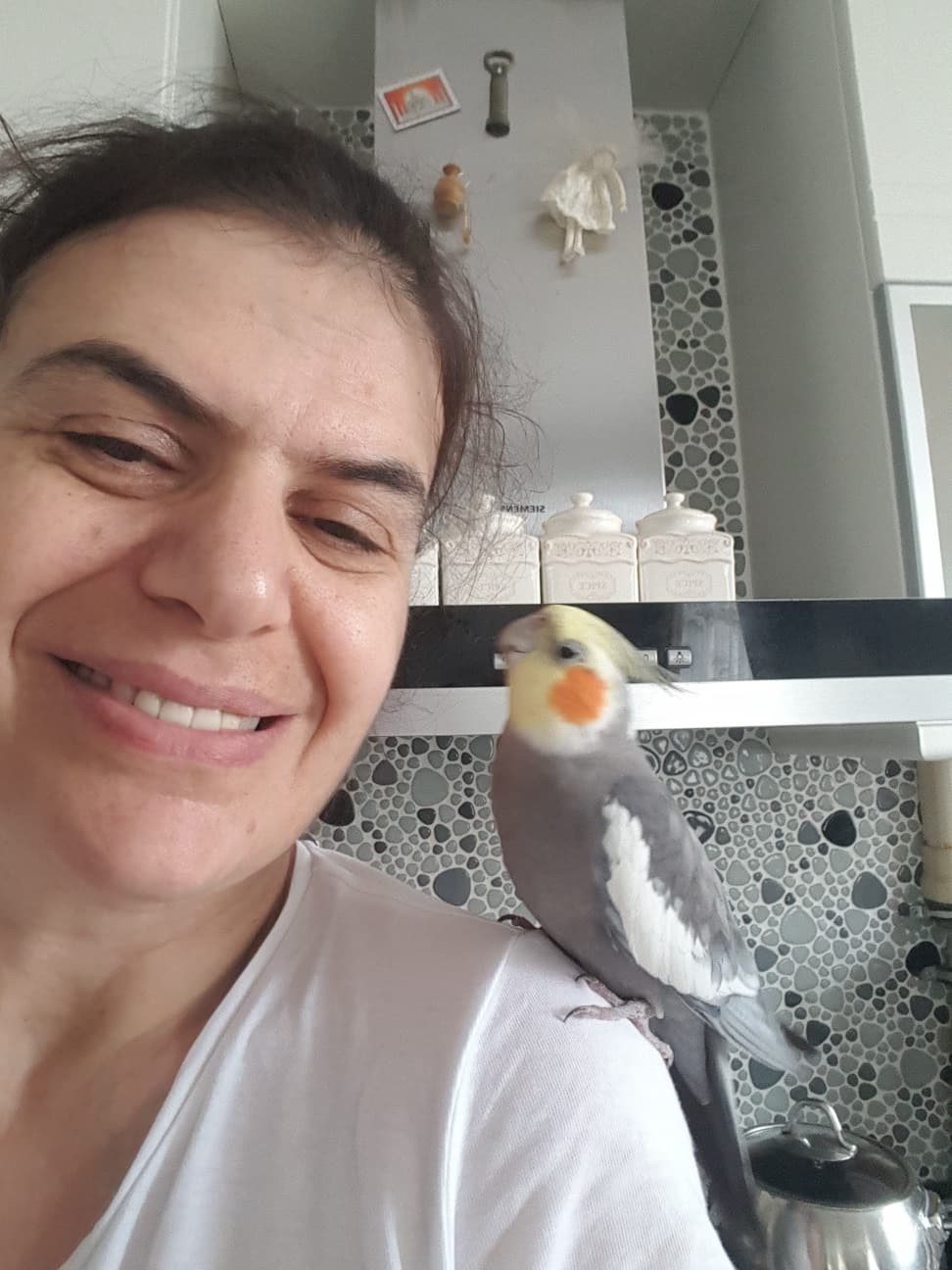 Kayıp papağanı ’Duman’ için yollara düştü