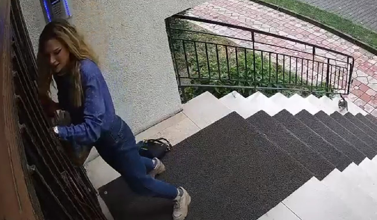 Yavru kediler, önlerine kattıkları kadını evine kadar kovaladı