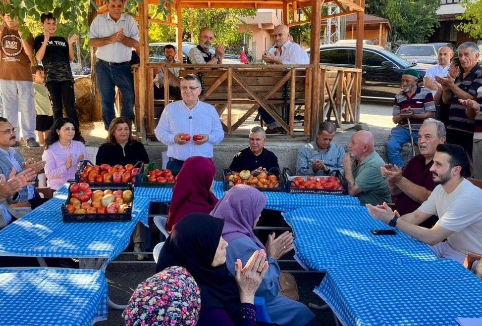Sinop’ta coğrafi işaretli Gazidere domatesinde hasat başladı