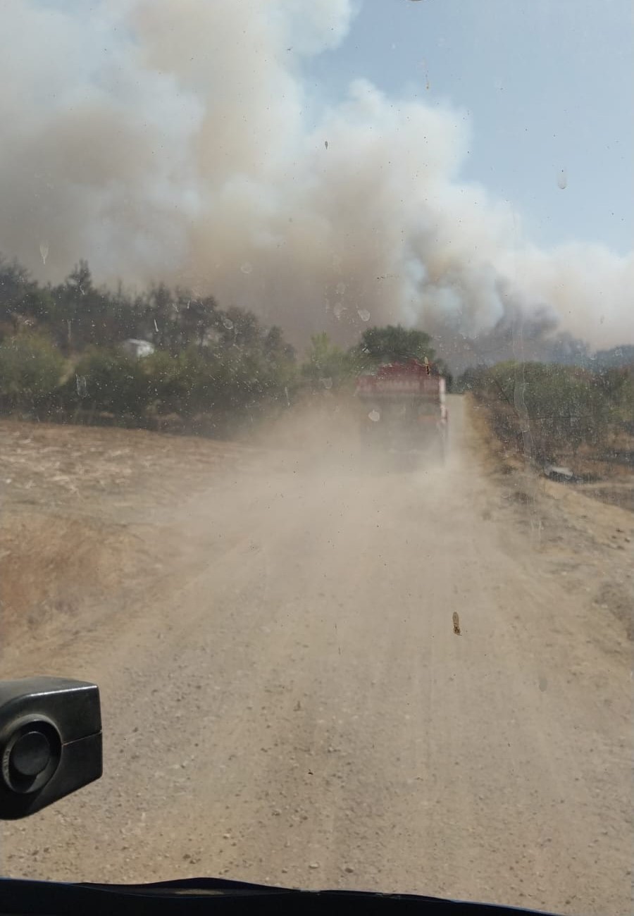 Çanakkale’de orman yangını