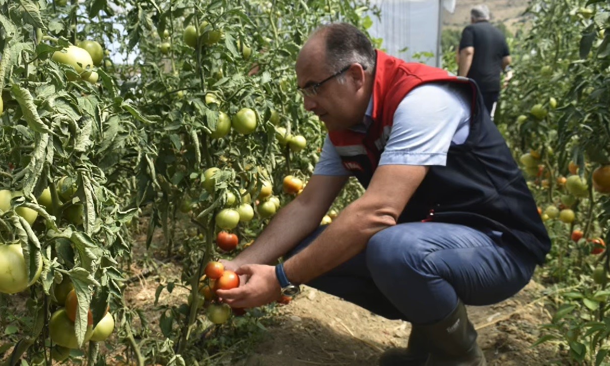 Eko-Köy’de tarımsal inceleme yapıldı
