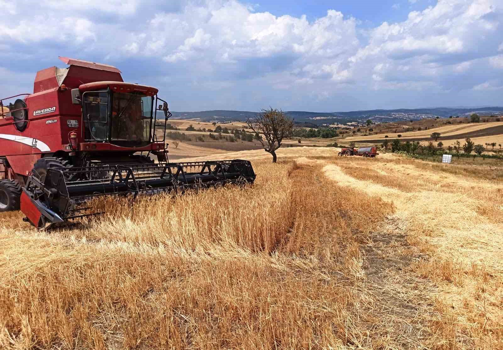 Kütahya’da hububat hasat kontrolleri devam ediyor