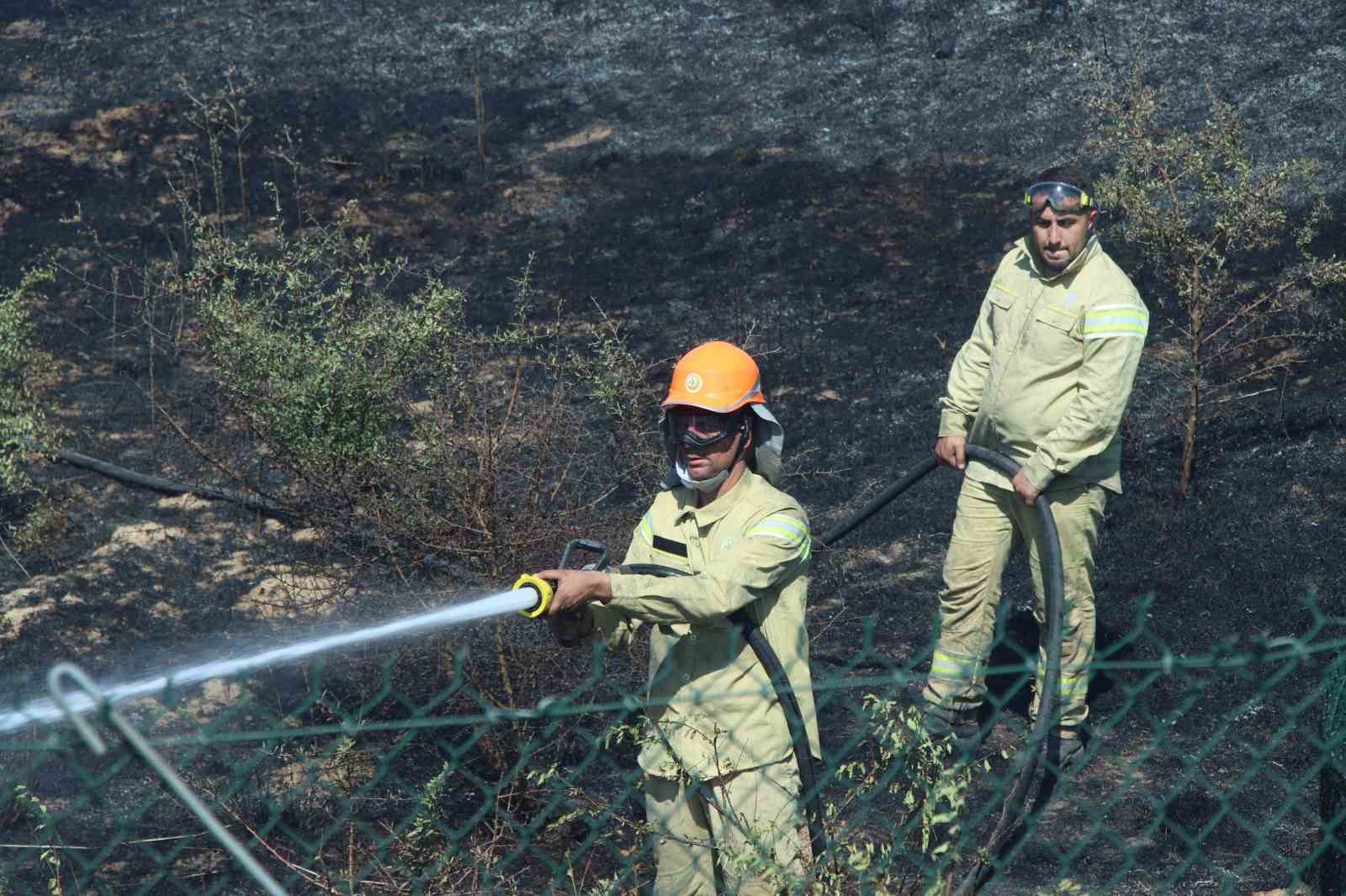 Kırklareli’nde çıkan yangın söndürüldü: Ulaşıma kapanan otoyol açıldı