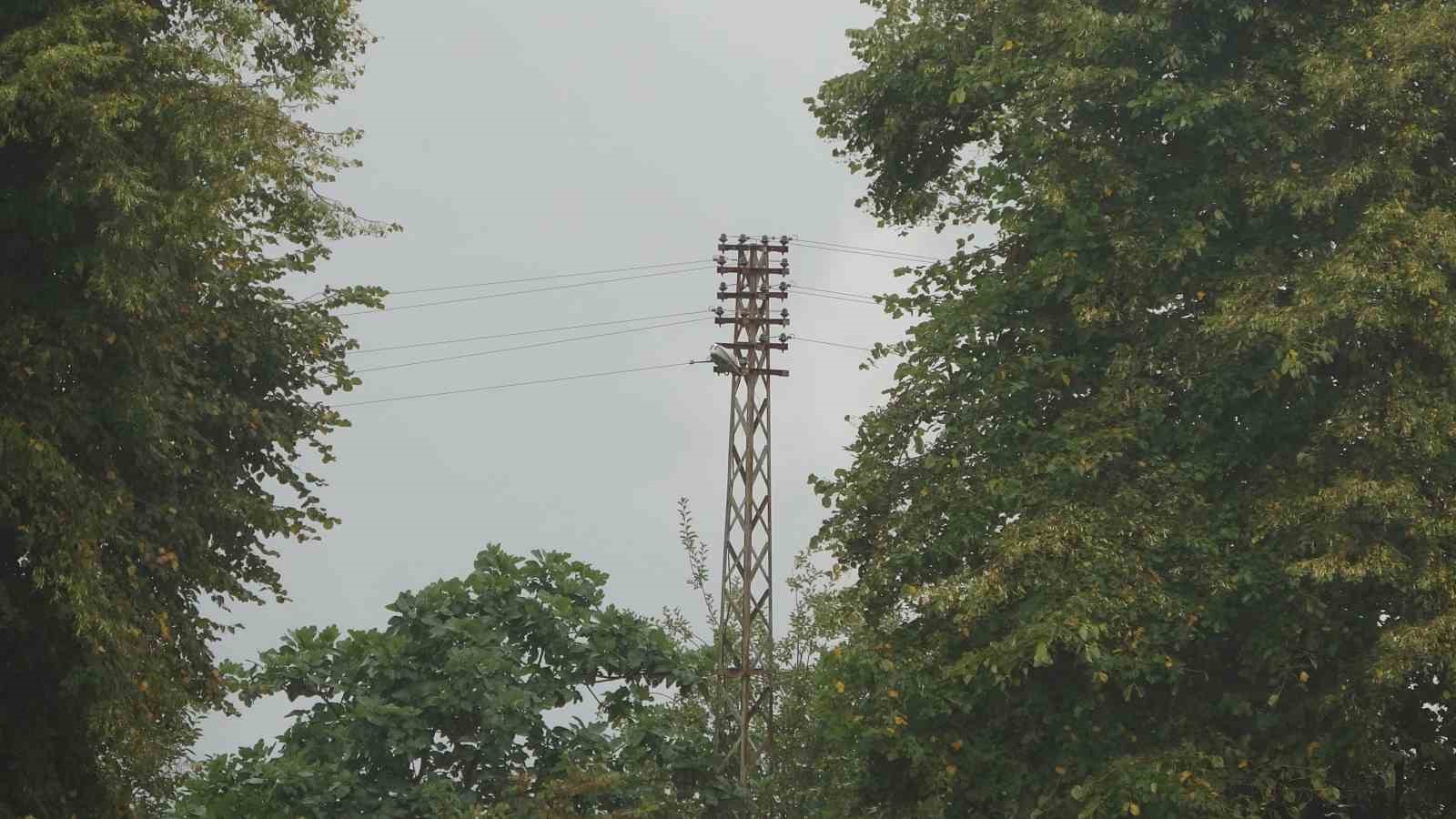 Ordu’da yazlıkçılar geldi, voltaj düştü