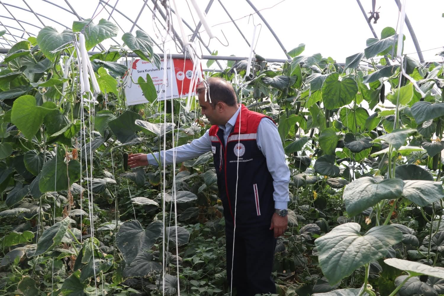 Edirne’de sera yatırımlarıyla tarımsal üretim kapasitesi artırılıyor