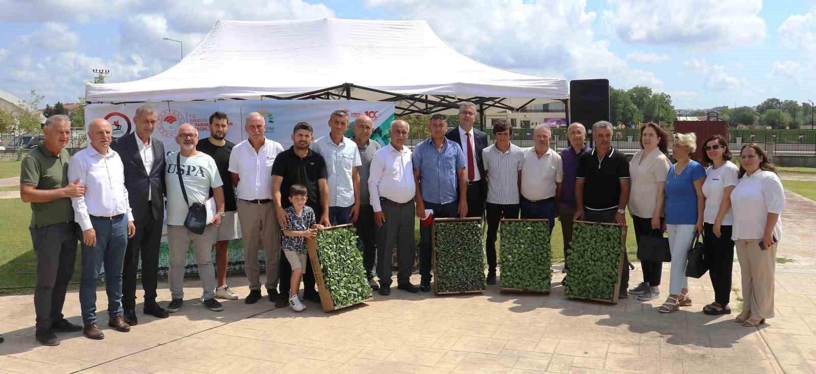 Bafra Ovası’nda ihracata uygun sebze üretilecek