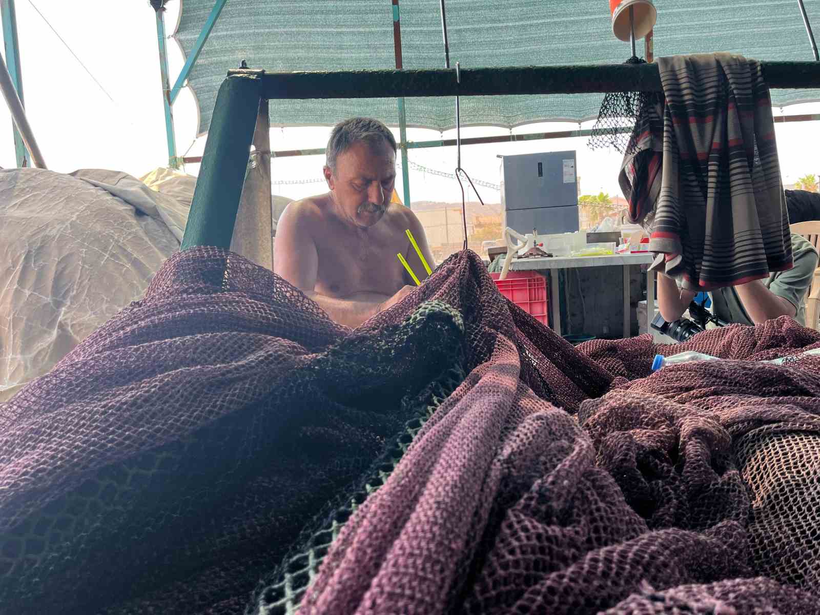 İzmir’de deniz kirliliği balığı vurdu: Sardalyasız sezon kapıda
